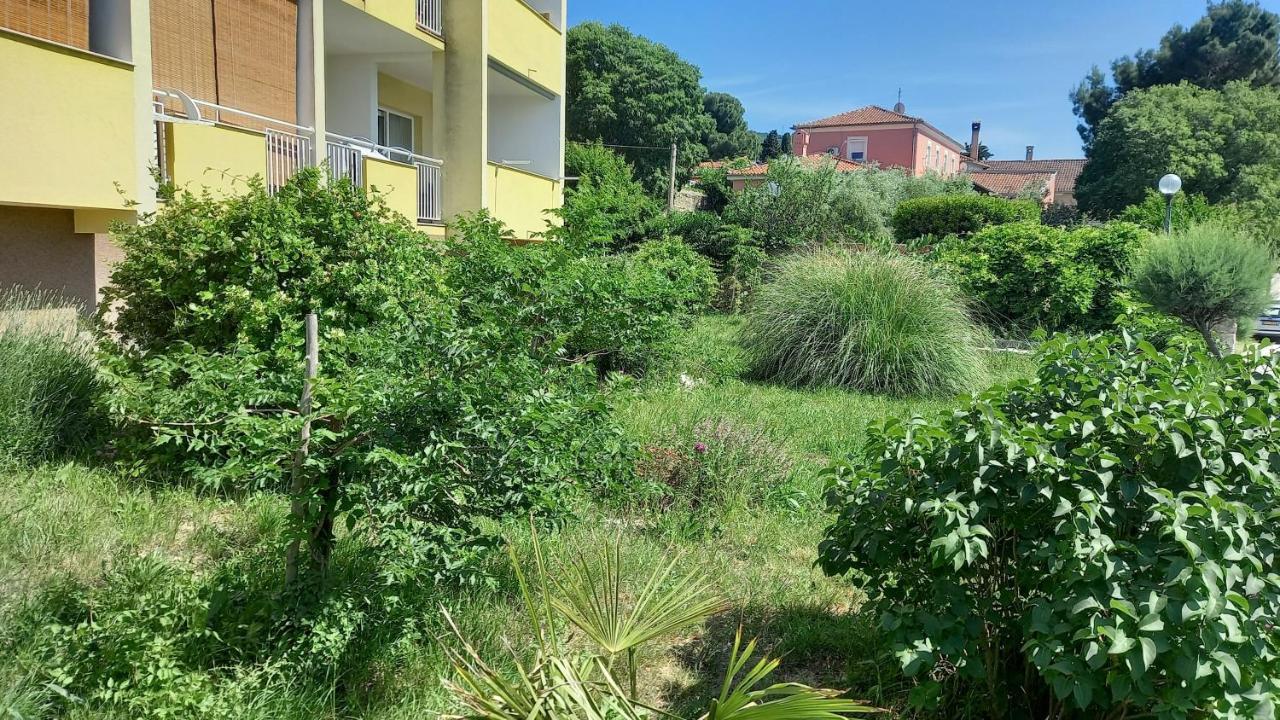 Apartment Sara - Cres Εξωτερικό φωτογραφία